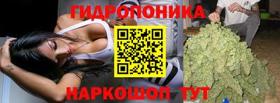 PSILOCYBIN Гусев