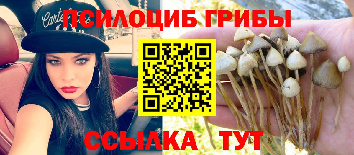 Галлюциногенные грибы Psilocybine cubensis  Вход с VPN  Лыткарино 