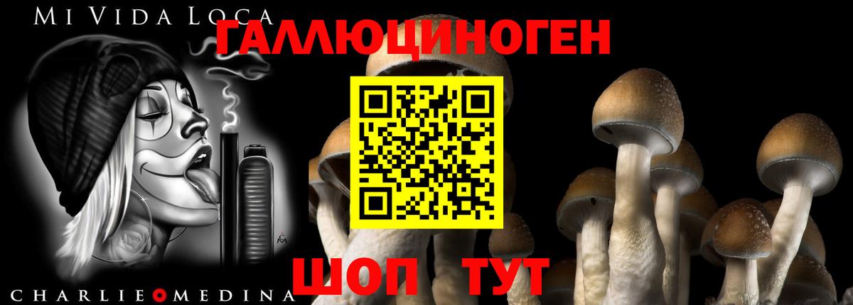 Галлюциногенные грибы мицелий Лыткарино